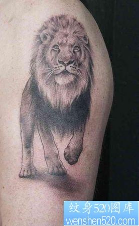 狮子纹身图片：经典帅气手臂狮子纹身图案
