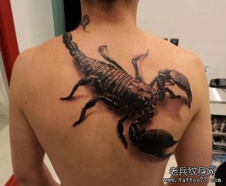 后背霸气超酷的蝎子纹身图片