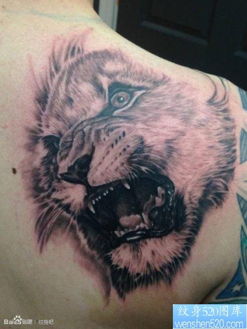 男生肩背超酷的霸气的狮头纹身图片
