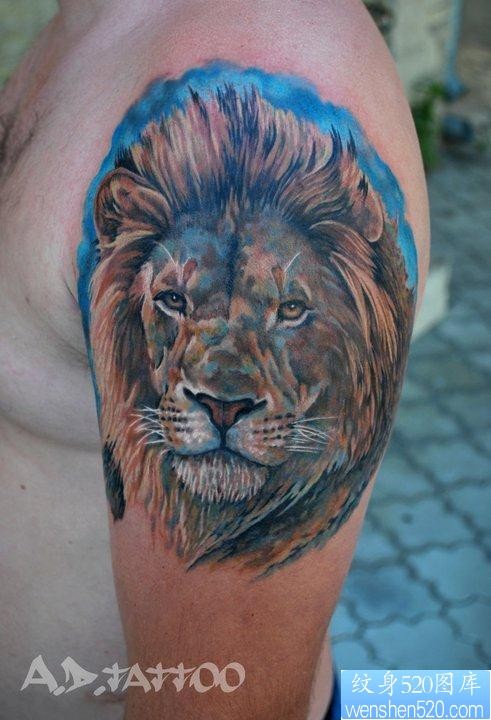 男生手臂流行经典的欧美彩色狮头纹身图片