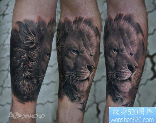 男生手臂流行帅气的狮子纹身图片