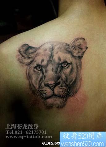男生肩背流行帅气的狮头纹身图片
