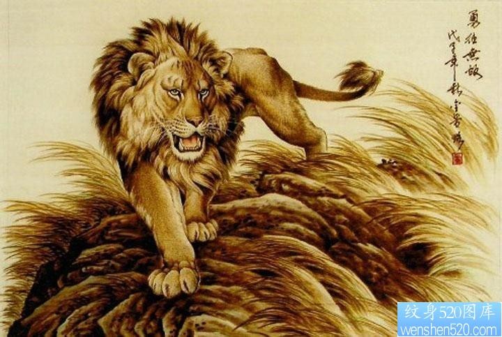 推荐一张霸气的狮子纹身手稿