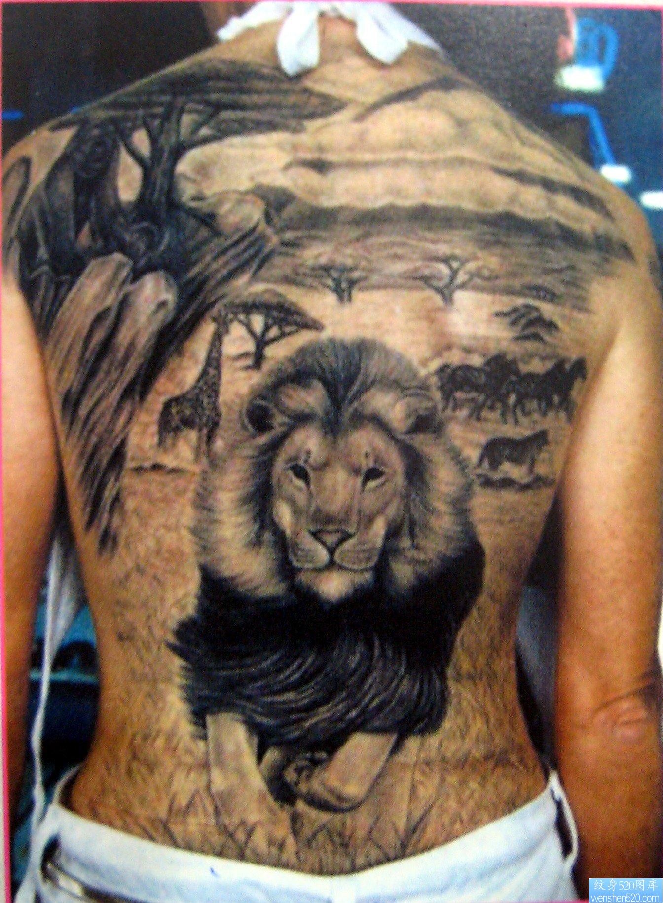 帅哥的一张满背狮子纹身图片