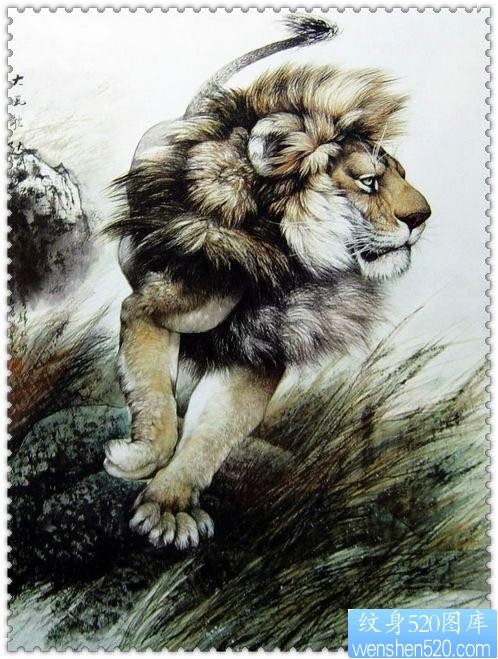 纹身520图库推荐一张狮子纹身手稿
