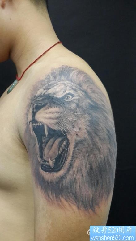男性手臂很酷帅气的狮头纹身图片