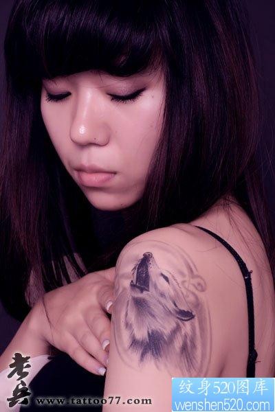 狼纹身作品：美女手臂狼头纹身图案