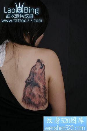 狼纹身作品：美女肩部狼头纹身图案