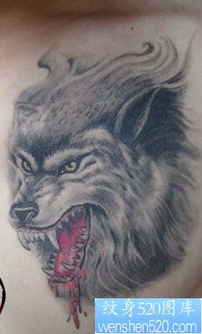狼纹身作品：胸部滴血狼头纹身图案