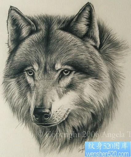 狼纹身作品：狼头纹身图案