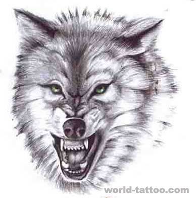 狼纹身作品：狼纹身作品作品
