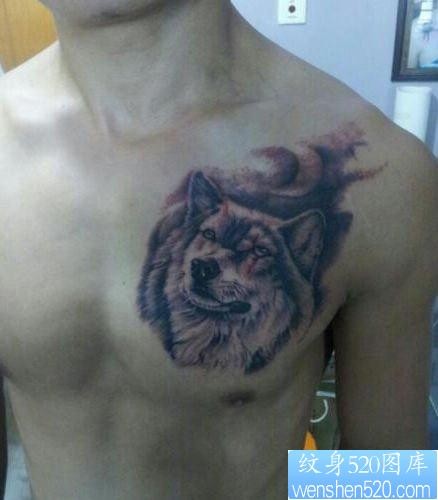 男生胸部霸气的狼头纹身作品