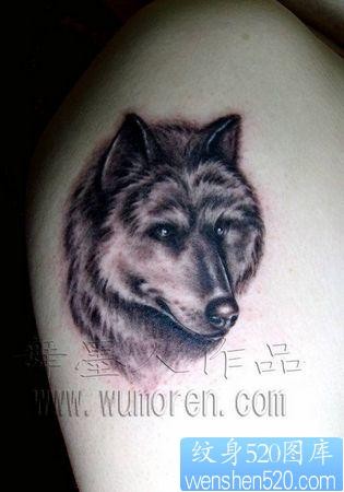 狼头纹身作品：手臂狼头纹身图案