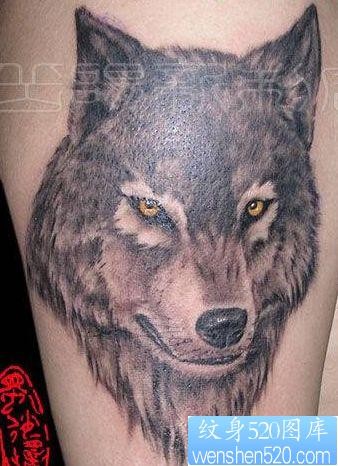 狼纹身作品：霸气的手臂狼头纹身图案