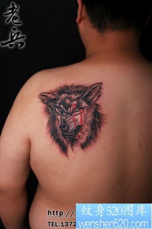 狼纹身作品：肩部滴血狼头纹身图案