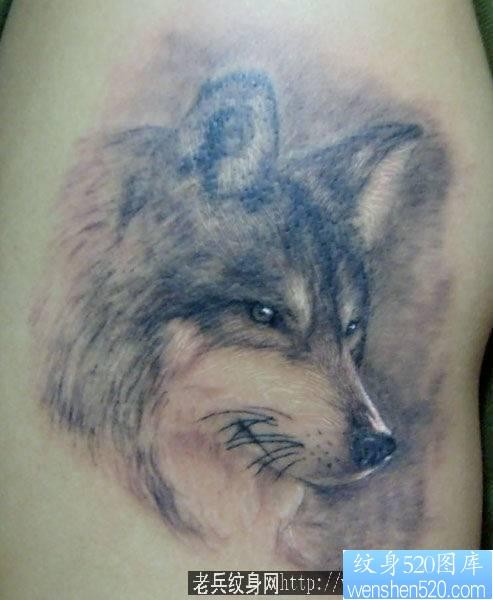 狼纹身作品：一幅帅气的手臂狼头纹身图案