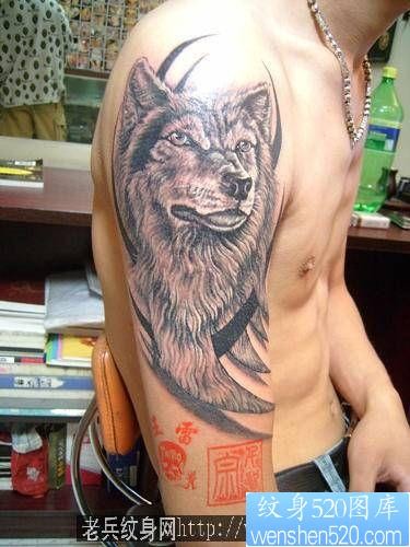 狼纹身作品：手臂狼头狼纹身图案