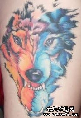 一幅霸气经典的狼头纹身作品