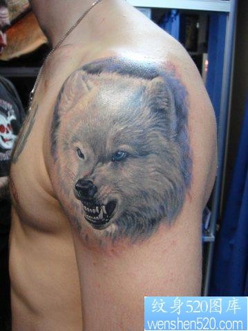 男生手臂潮流凶悍的狼头纹身作品