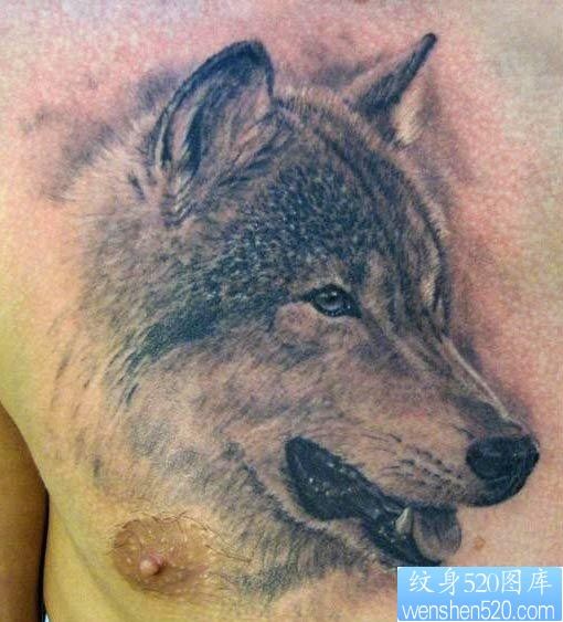 男生前胸时尚经典的狼头纹身作品