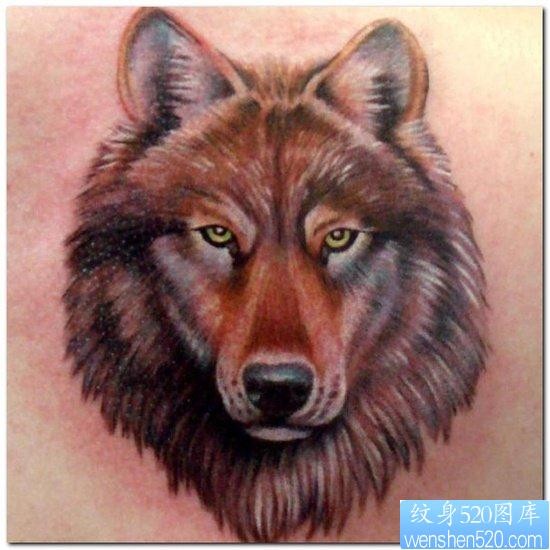 男生喜欢的经典的狼头纹身作品