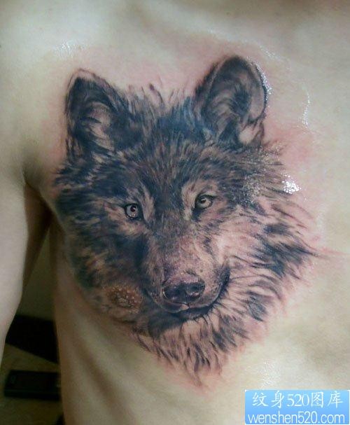 男人胸前很酷潮流的狼头纹身作品
