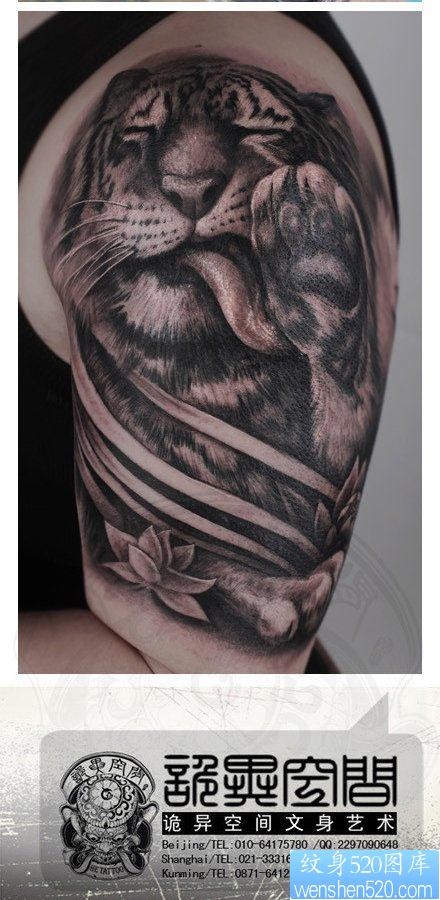 手臂一幅可爱温顺的老虎纹身图片