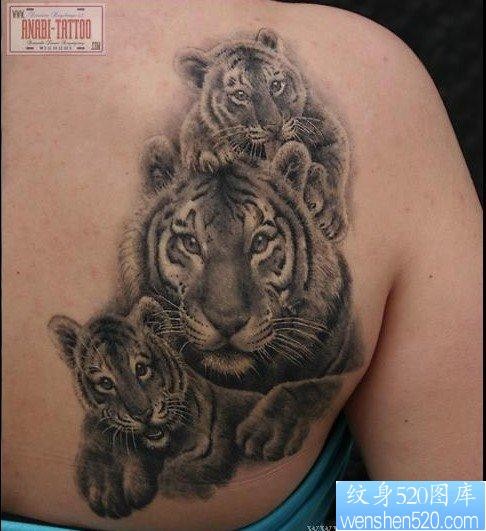 后背上一幅老虎家族纹身图片