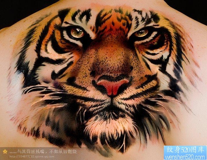 推荐一幅霸气的老虎纹身图片
