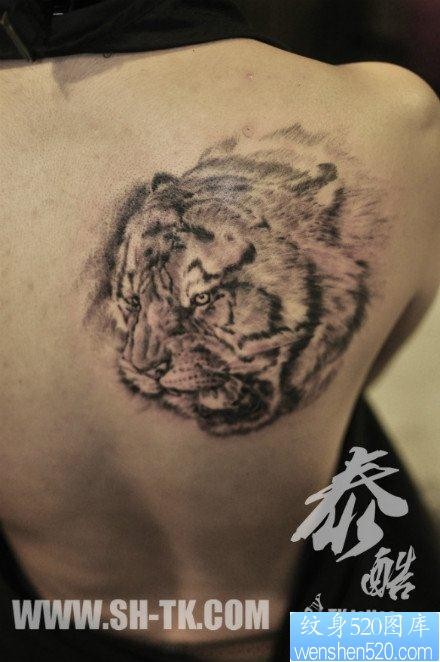 男生肩背很酷时尚的虎头纹身图片