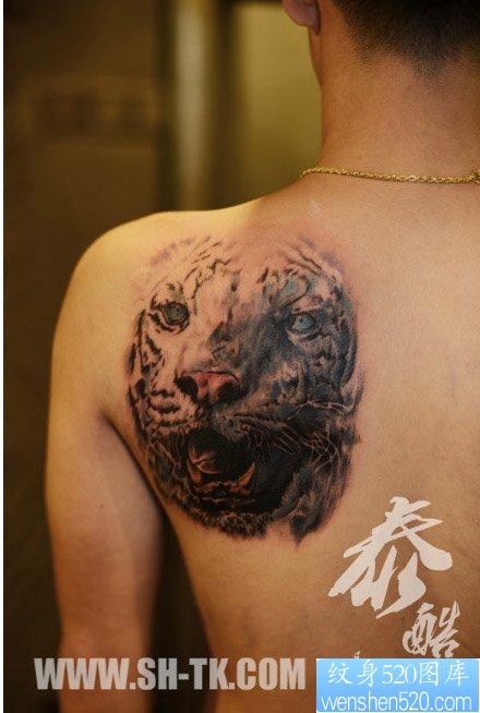 男人后肩背潮流很酷的虎头纹身图片