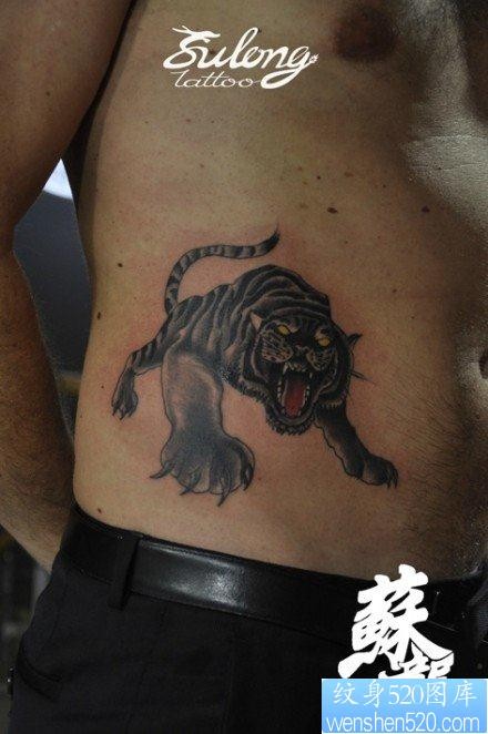 男生腹部时尚经典的school老虎纹身图片