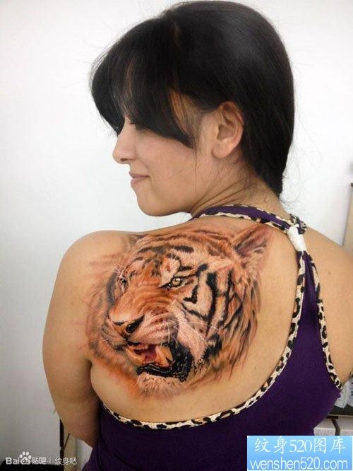 女性肩背超酷的彩色虎头纹身图片