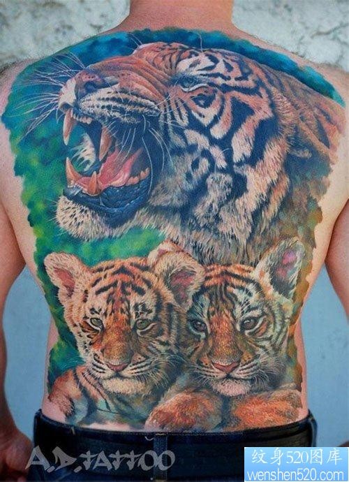 男生满背超酷的彩色虎头纹身图片