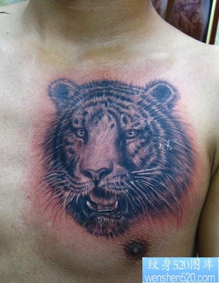 男生胸部霸气的虎头纹身图片