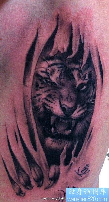 胸部超酷的一幅老虎撕皮纹身图片