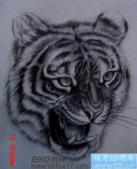 一幅可爱的老虎虎头纹身图片
