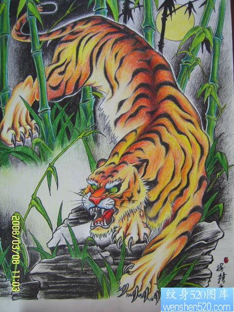 一张猛虎下上的彩色老虎纹身图片