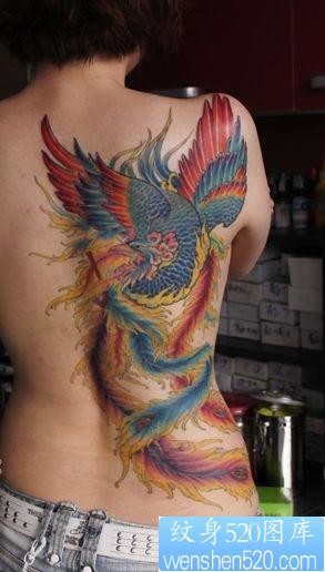美女背部一幅精美的彩色凤凰纹身图片