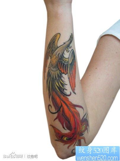 女人手臂时尚经典的传统凤凰纹身图片