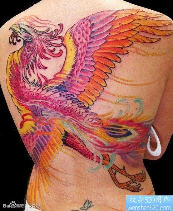 女人背部精美漂亮的彩色凤凰纹身图片