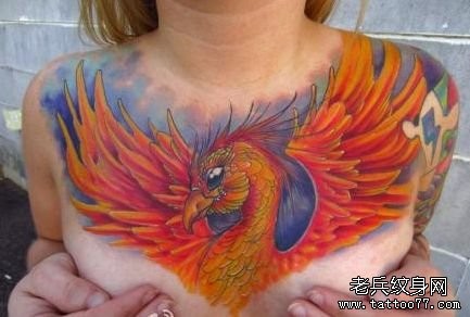 美女胸部超酷的彩色凤凰纹身图片