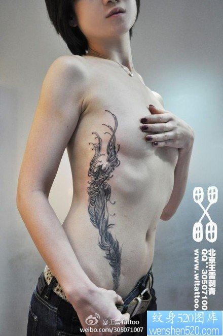 美女腹部到肋部凤凰与羽毛纹身图片