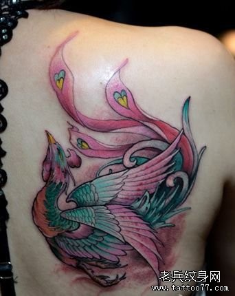 女人肩背精美潮流的彩色凤凰纹身图片