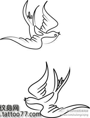 可爱潮流的小燕子纹身图片