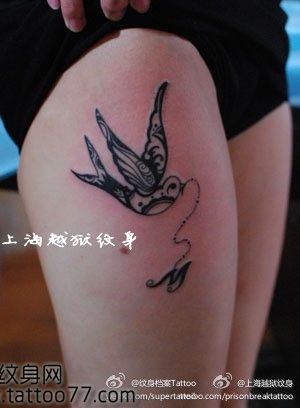 美女腿部流行的图腾燕子纹身图片