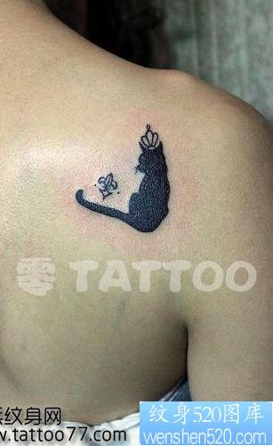 美女肩部流行可爱的图腾猫咪纹身图片