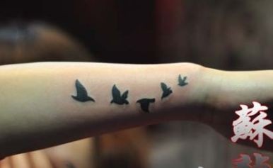 流行的小鸟纹身图腾鸽子纹身图片