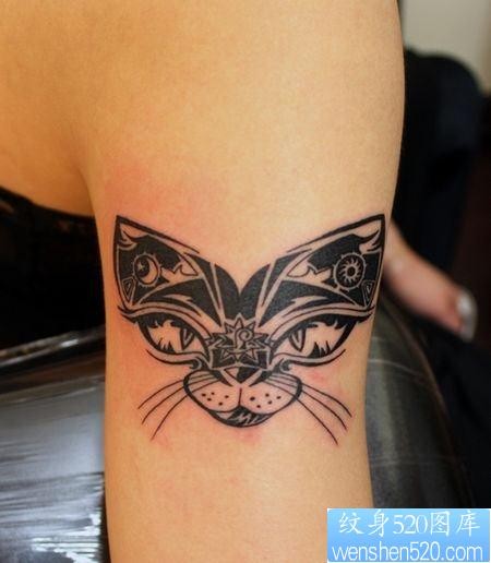 女人手臂精美的图腾猫咪纹身图片