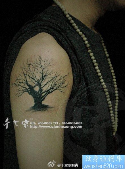 男生手臂一幅干枯的图腾小树纹身图片